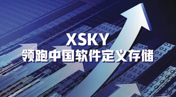 IDC报告： XSKY晋级国内软件定义存储前三